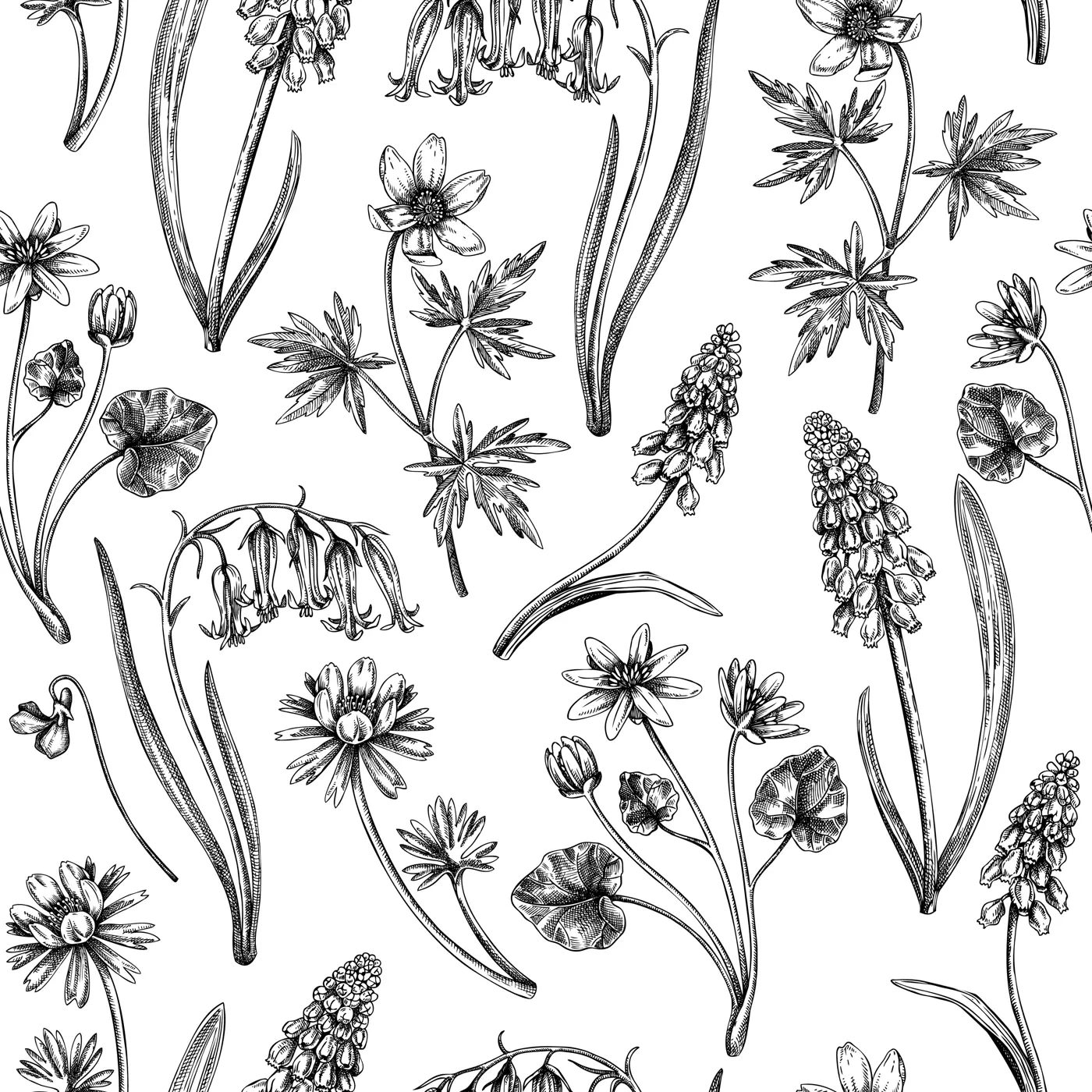 Spring flower background in vintage style. Hand-drawn wild blooming plants design. Bluebell, grape hyacinth, wild garlic, fritillary, winter aconite, wood anemone. Wildflowers illustration Illustration